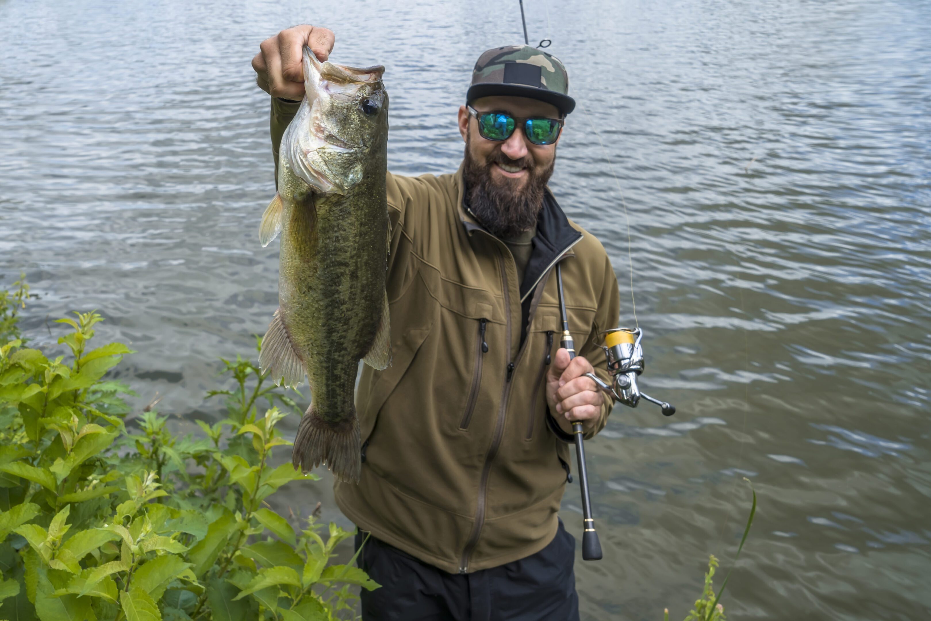 Bearded fisherman holding large bass by lake