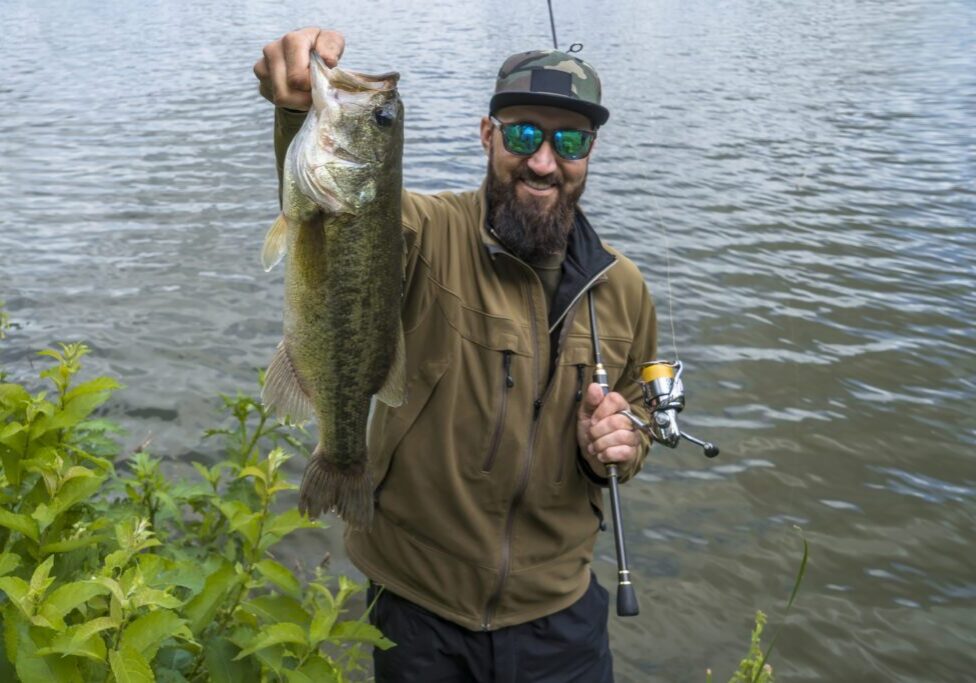 Bearded fisherman holding large bass by lake
